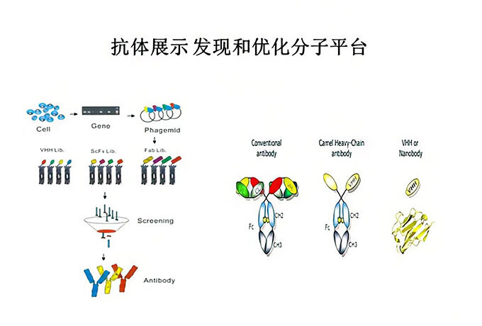 新澳门资料网